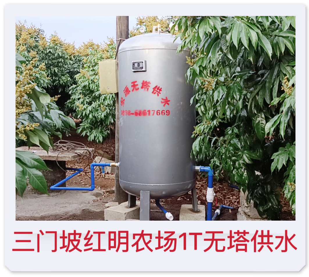 2023.3.16 三門坡紅明農(nóng)場1T無塔供水